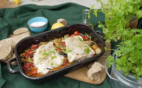 Mediterraner Fisch mit Ofengemüse angerichtet in einer schwarzen Auflaufform, gekocht von Felicitas Then.