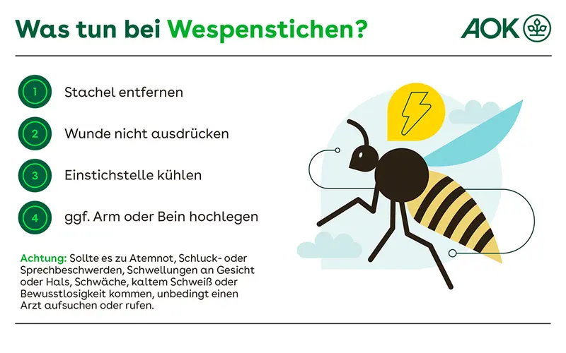 Infografik mit Illustration einer Wespe und Liste mit vier Schritten, die beschreiben, was bei einem Wespenstich zu tun ist.