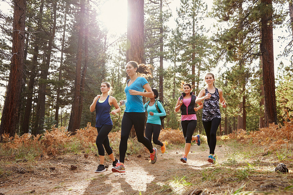 Eine Gruppe junger Frauen joggt in Sportkleidung durch einen Wald.