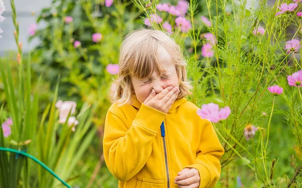 Kinder und Allergie: Ein kleiner Junge vor vielen Blumen sowie Gräsern muss niesen.