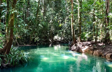 Testbild - Fluss im Wald