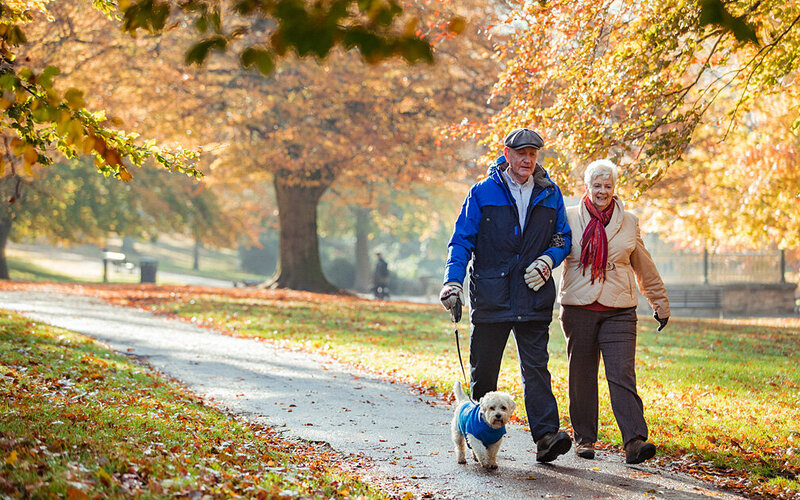 Älteres Ehepaar geht mit Hund spazieren, um drohender Darmträgheit im Alter zuvorzukommen.