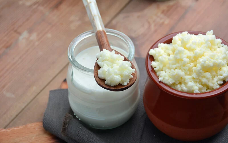 Ein Gläschen Kefir und eine Schale mit einer Kefirknolle auf einem Holztisch.