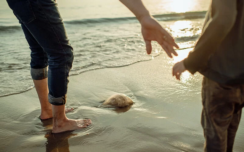 Vater und Sohn betrachten mit Sicherheitsabstand eine an den Strand gespülte Qualle.