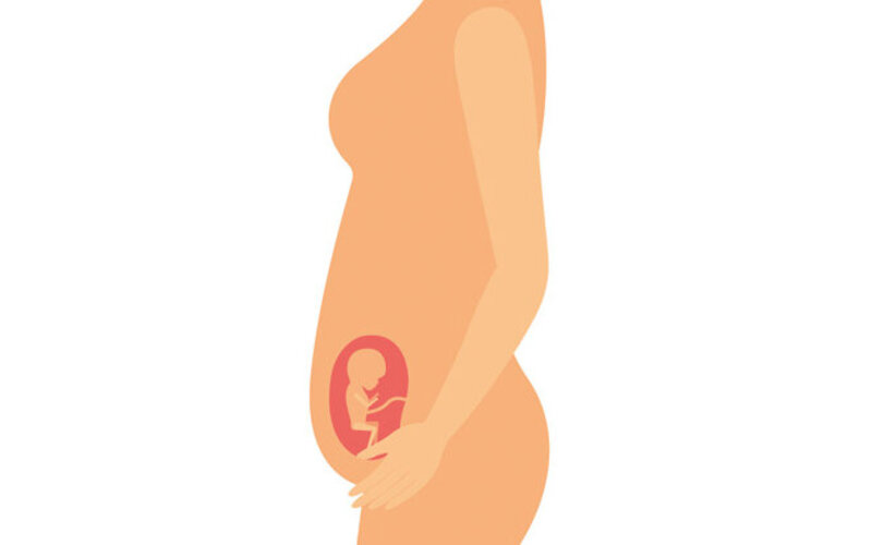 Eine schwangere Frau mit einem ungeborenen Baby im Bauch.