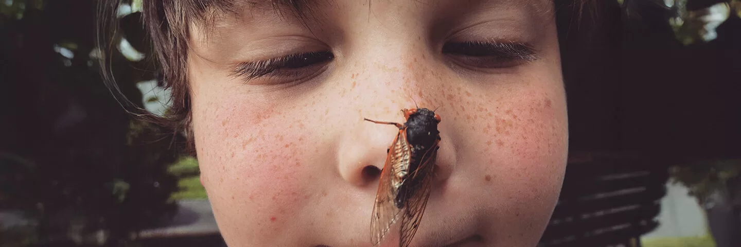 Nahaufnahme eines kleinen Jungen mit Sommersprossen und einer riesigen Zikade, die an seiner Nase hängt. 