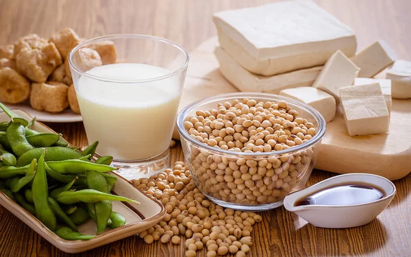 Auf einem Tisch sind verschiedene Sojaprodukte zu sehen: Tofu, Milch, Käse, Sojabohnen.
