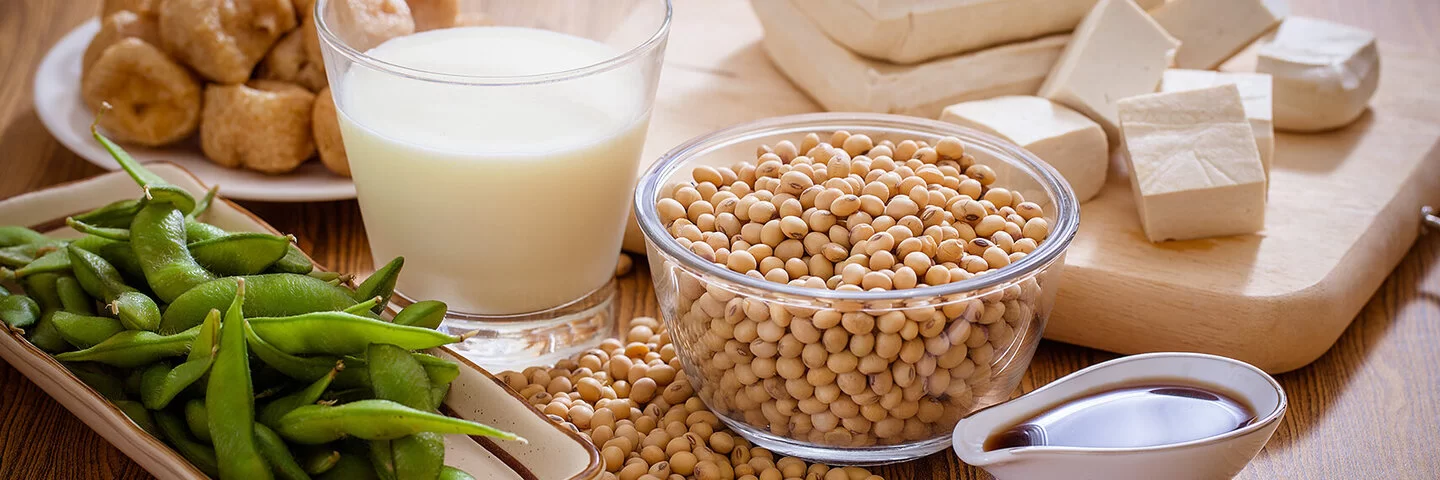 Auf einem Tisch sind verschiedene Sojaprodukte zu sehen: Tofu, Milch, Käse, Sojabohnen.