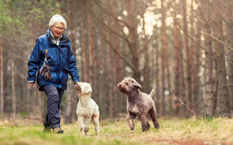 Eine Frau geht mit ihren zwei Hunden im Wald spazieren. Sie möchte ihren Alkoholkonsum reduzieren und sich ablenken.