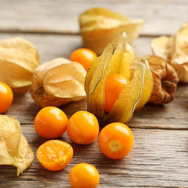 Mehrere Physalisfrüchte liegen auf einem hölzernen Untergrund.