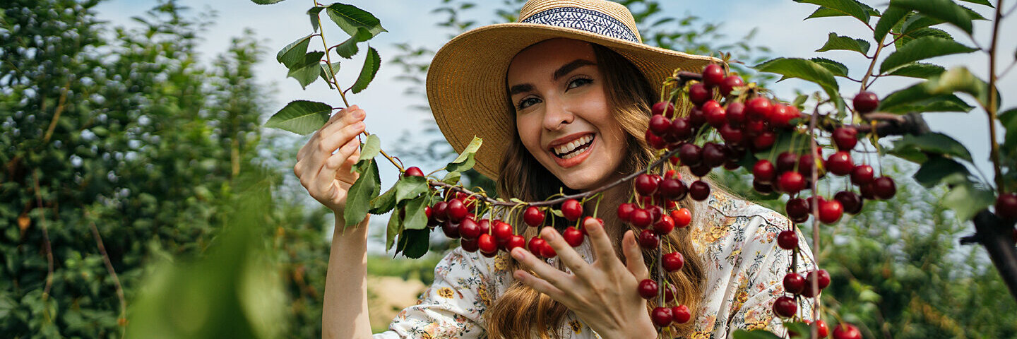 Lächelnde junge Frau steht im Obstgarten und hält einen Kirschzweig.