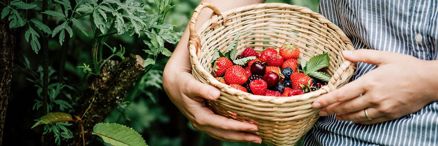 Eine Frau mit einem Korb Beeren aus der Region.