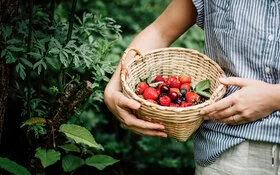 Eine Frau mit einem Korb Beeren aus der Region.