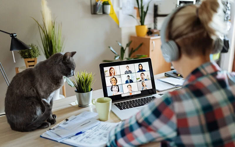 Eine Frau nimmt mit einem Kopfhörer an einem Videomeeting teil, neben ihr sitzt eine Katze.
