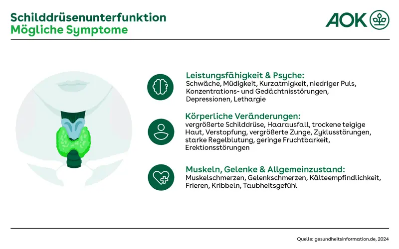 Übersichtsgrafik über die Symptome einer Schilddrüsenunterfunktion.