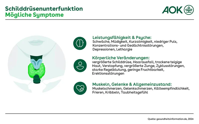 Übersichtsgrafik über die Symptome einer Schilddrüsenunterfunktion.