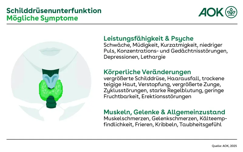 Übersichtsgrafik über die Symptome einer Schilddrüsenunterfunktion.