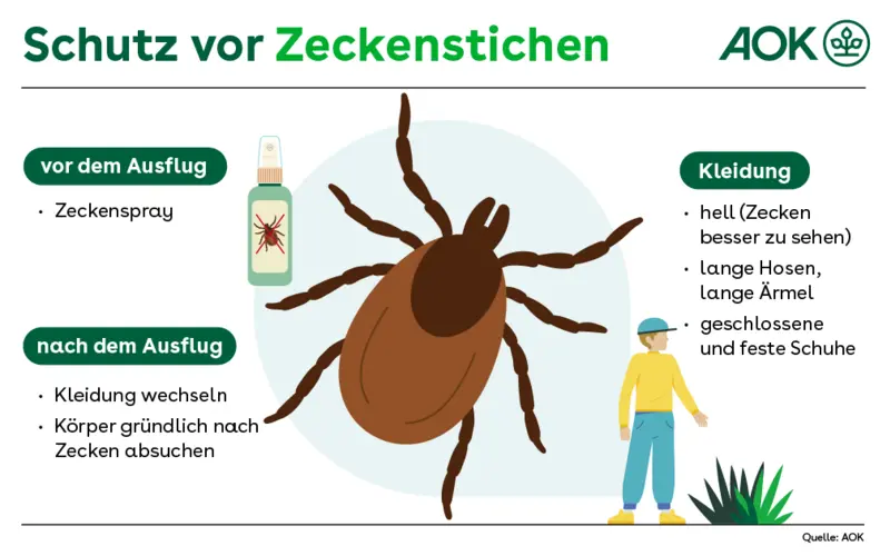 So schützt man sich vor Zecken: Vor dem Ausflug Zeckenspray verwenden, beim Ausflug helle Kleidung mit langen Ärmeln und lange Hosen sowie geschlossene Schuhe tragen. Nach dem Ausflug Kleidung wechseln und Körper absuchen.