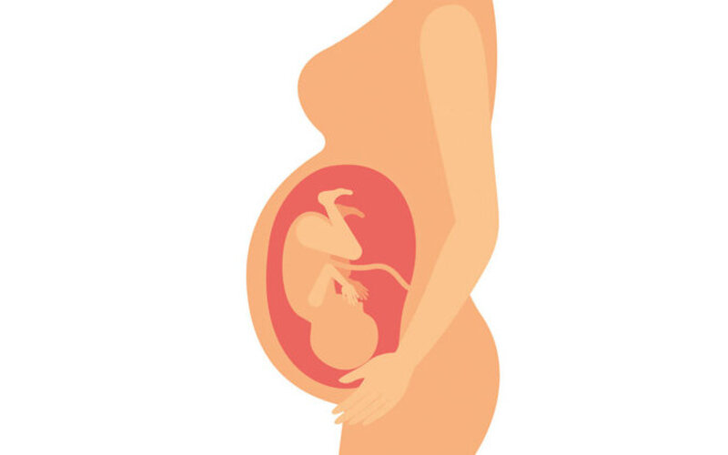 Eine schwangere Frau mit einem ungeborenen Baby im Bauch.