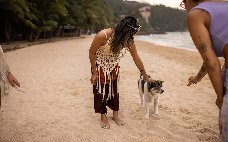 Vorsicht vor Tollwut: Eine Frau streichelt einen streunenden Hund am Strand.