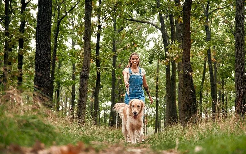 Eine lachende, jüngere Frau geht mit ihrem Hund in einem Wald spazieren.