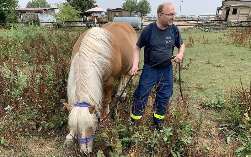 Jochen Gastner steht neben einem Pferd bei der Ausbildung zur Großtierrettung.