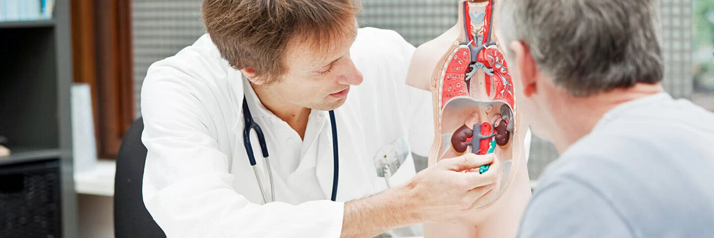 Ein Urologe zeigt einem Patienten die inneren Organe und zeigt auf die Nieren.