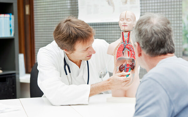 Ein Urologe zeigt einem Patienten die inneren Organe und zeigt auf die Nieren.