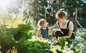 Kleines Kind und Mutter ernten frische Erdbeeren aus dem eigenen Garten.