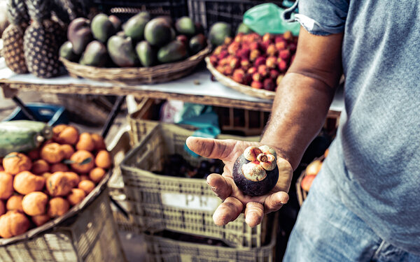 Ein Mann an einem Marktstand hält eine geschlossene Mangostan in der Hand.