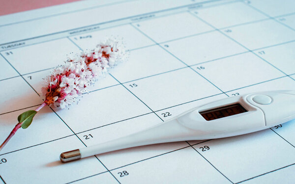 Auf einem Zykluskalender liegt eine Blüte und ein Thermometer für natürliche Verhütung.