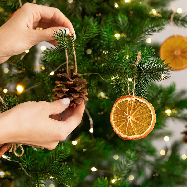 Frauenhände hängen Weihnachtsschmuck an einen Tannenbaum.
