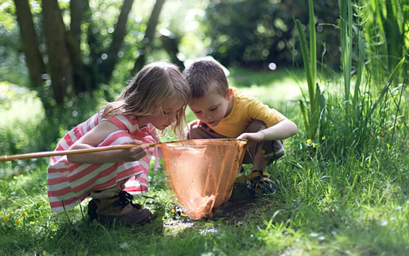 Zwei kleine Kinder spielen mit einem Kescher im Wald, weil sie miteinander befreundet sind.