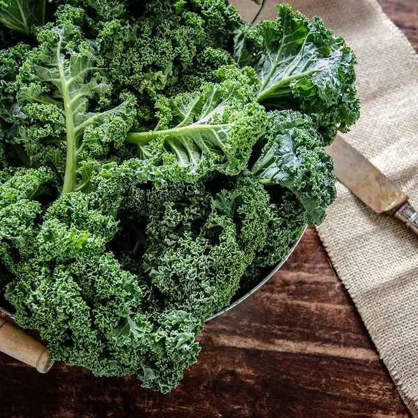 In einer Schale liegt frischer Grünkohl – ein Superfood im Winter.