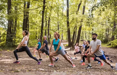 Eine Gruppe von Frauen und Männern in Sportkleidung dehnt ihren rechten Oberschenkel im Wald.