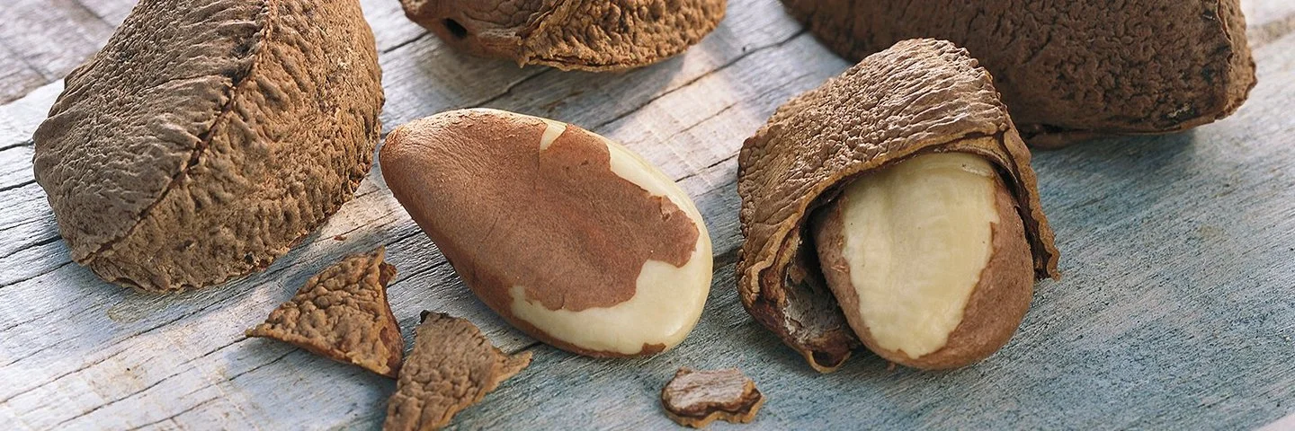 Auf einem Holztisch liegen Paranüsse. Einige haben noch ihre Schale, andere sind bereits geknackt.