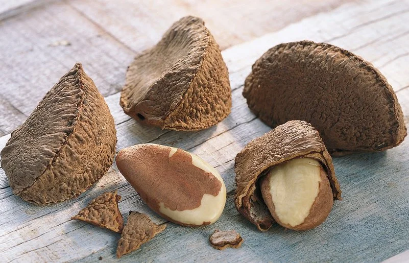 Auf einem Holztisch liegen Paranüsse. Einige haben noch ihre Schale, andere sind bereits geknackt.