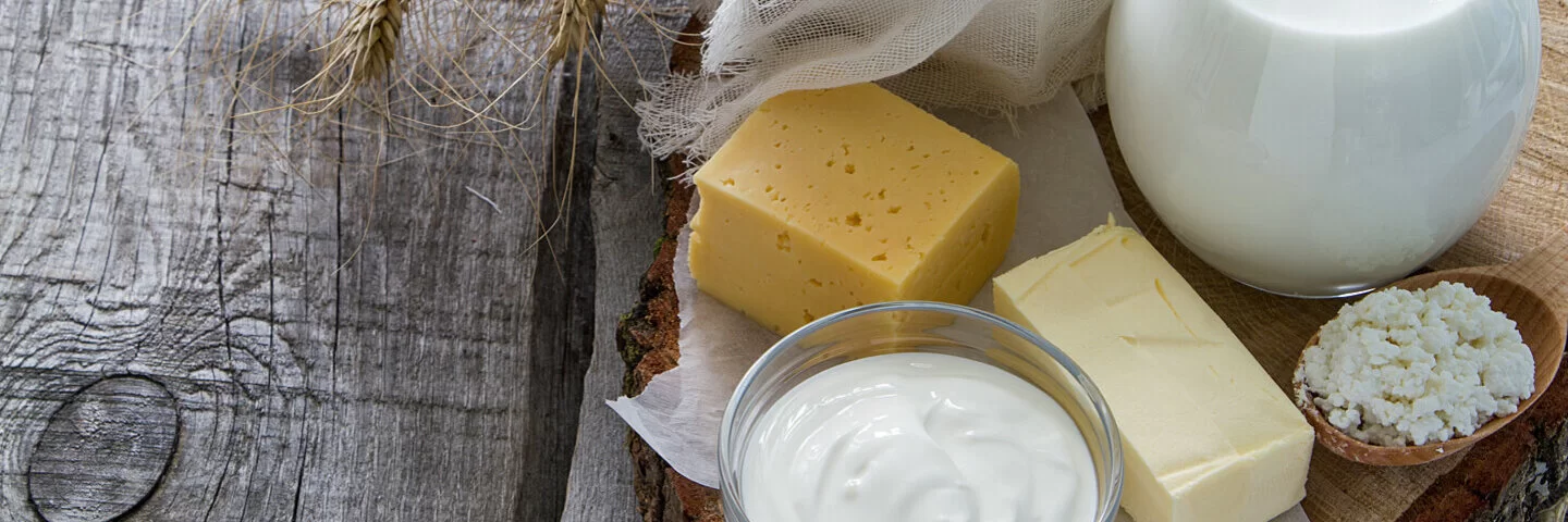  Milch, Käse, Hüttenkäse und Sauerrahm auf einem Holzbrett angerichtet. Diese Lebensmittel sind bei einer Laktoseintoleranz unverträglich.