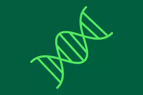 Das Bild zeigt das Symbol einer DNA-Struktur.