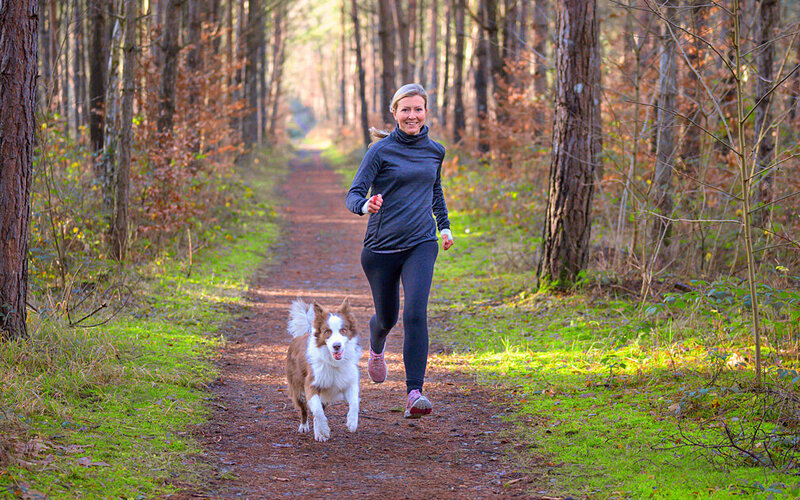 Um Stresshormone abzubauen, ist regelmäßige körperliche Bewegung wie Joggen eine gute Möglichkeit.