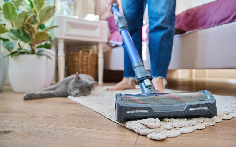 Eine Frau saugt einen Teppichläufer auf ihrem Laminatboden ab, im Hintergrund liegt ihre graue Katze.