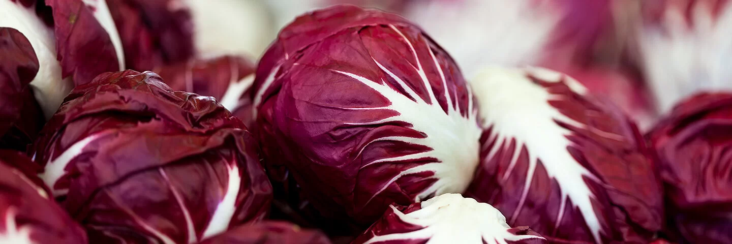 Viele dunkelrote Radicchio-Köpfe liegen nebeneinander.