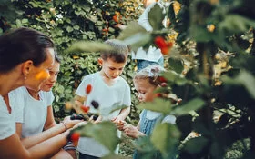 Eine Frau sammelt mit drei Kindern Beeren inmitten von Sträuchern.
