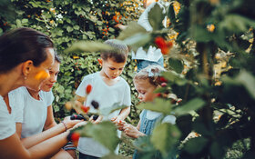 Eine Frau sammelt mit drei Kindern Beeren inmitten von Sträuchern.