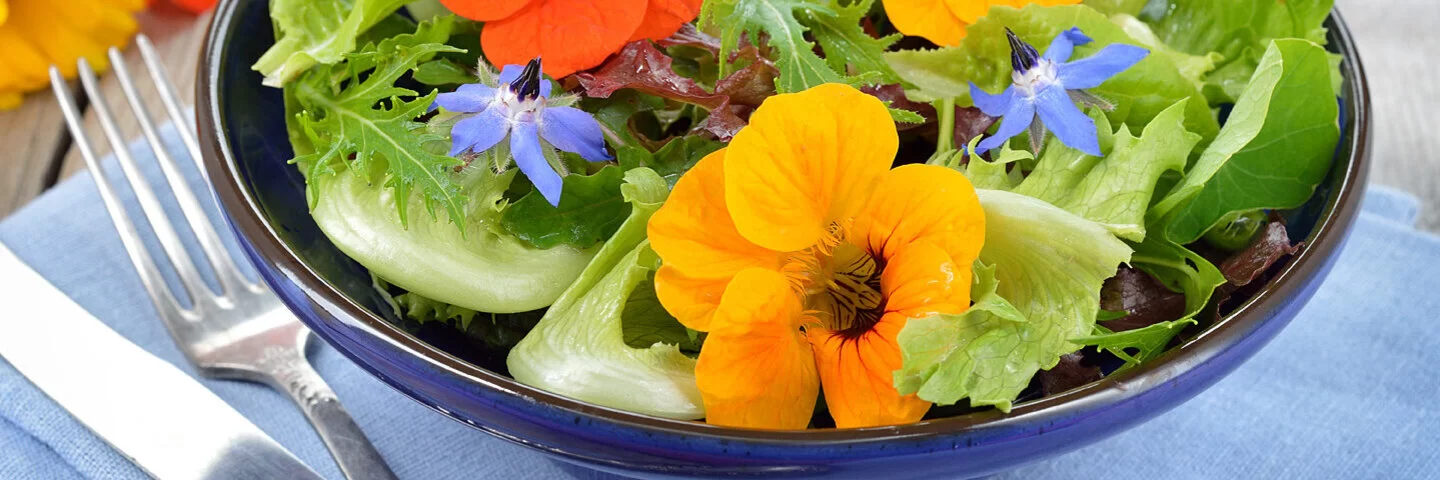 Salat mit essbaren Blüten und Kapuzinerkresse in einer Schüssel.