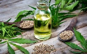 Hanfsamen in Holzlöffeln und Öl in einer offenen Glasflasche auf einem rustikalem Holztisch dekoriert mit Hanfblättern.