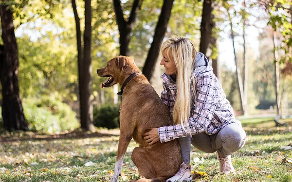 Hundebesitzerin und Hund im Wald.