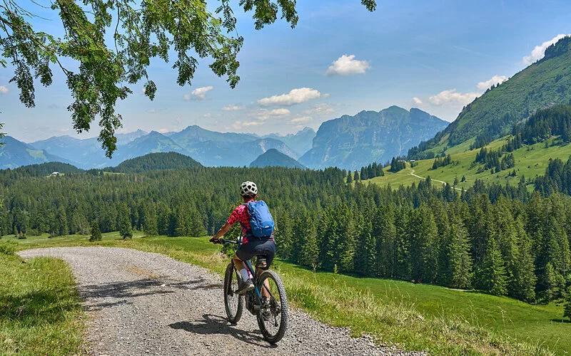 Eine Frau in Outdoor-Kleidung und mit Helm fährt auf einem E-Mountainbike durch bergiges Gelände in Österreich.