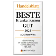 Zu sehen ist das silberne Siegel von Handelsblatt und DFSI für die beste Krankenkasse.