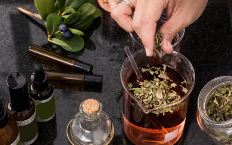 Eine Hand streut getrocknete Pflanzenteile in ein mit Flüssigkeit gefülltes Glas. An der Seite zu sehen sind ein kleiner Holunderzweig mit Holunderbeeren sowie mehrere Arzneifläschchen.